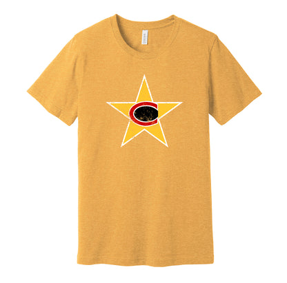 Charlotte Stars vintage distressed logo gold t-shirt featuring the classic 1970s WFL football team logo in a retro worn style by Hyper Than Hype Shirts.