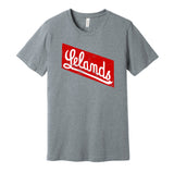 chicago leland giants negro league baseball grey shirt