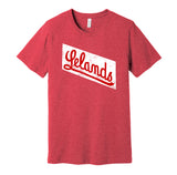 chicago leland giants negro league baseball red shirt