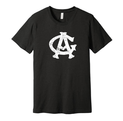 Chicago American Giants vintage distressed logo black t-shirt featuring the classic Negro League baseball team logo in a retro worn style by Hyper Than Hype Shirts.