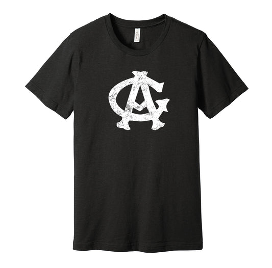 Chicago American Giants vintage distressed logo black t-shirt featuring the classic Negro League baseball team logo in a retro worn style by Hyper Than Hype Shirts.
